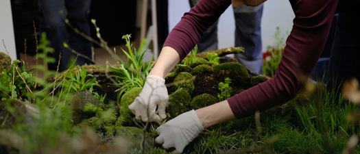 Fáze testování a příprav